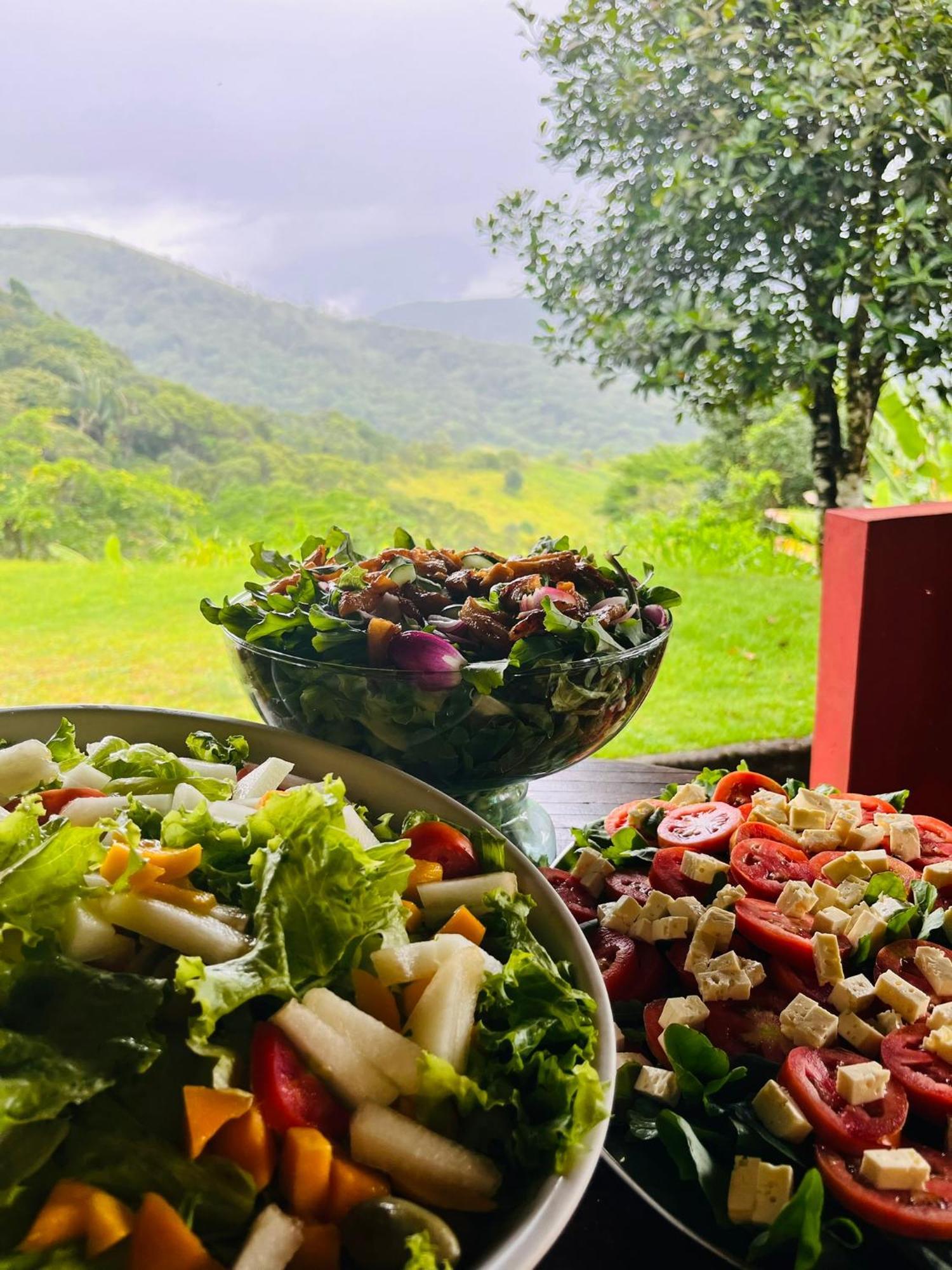 Pousada E Restaurante Alto Da Serra Bonito  Extérieur photo